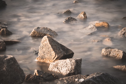 Stacks Image 269